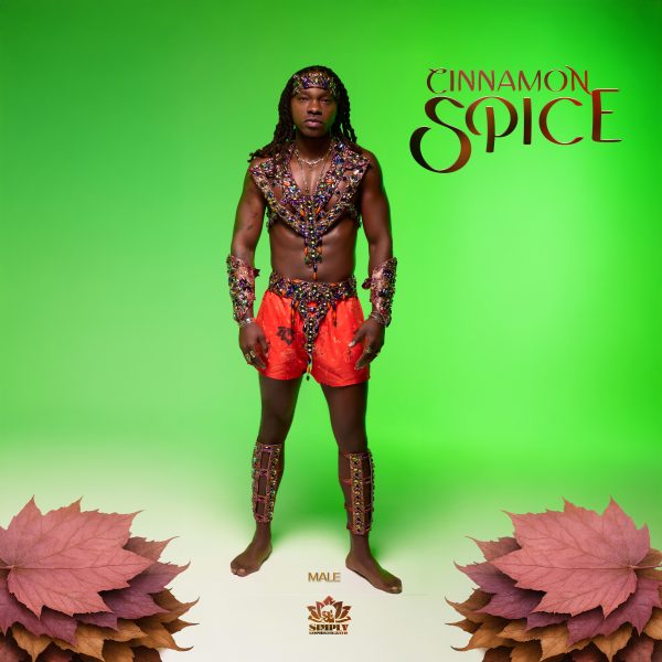 Cinnamon Spice Men - Image 3