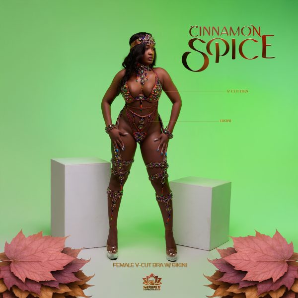 Cinnamon Spice - Image 8