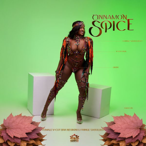 Cinnamon Spice - Image 7