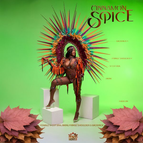 Cinnamon Spice - Image 3
