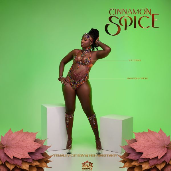 Cinnamon Spice - Image 6