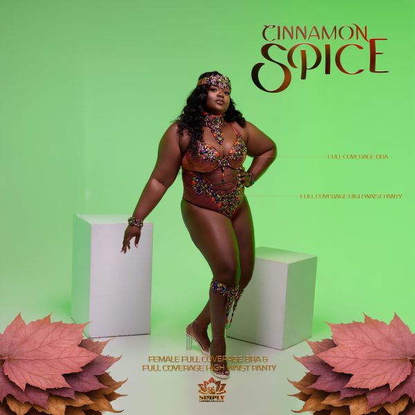 Cinnamon Spice - Image 9