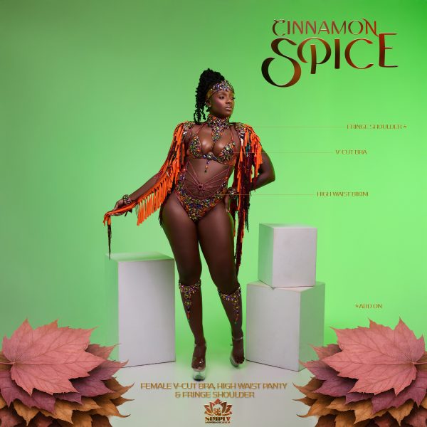 Cinnamon Spice - Image 5