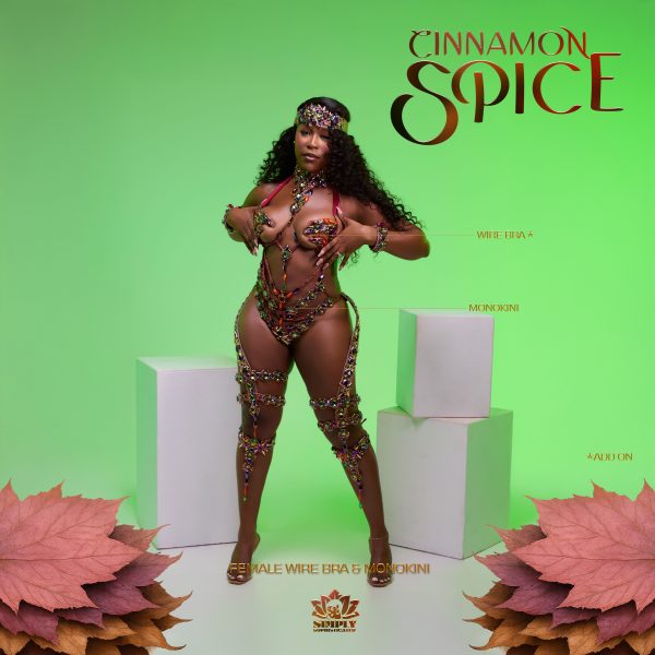 Cinnamon Spice - Image 13