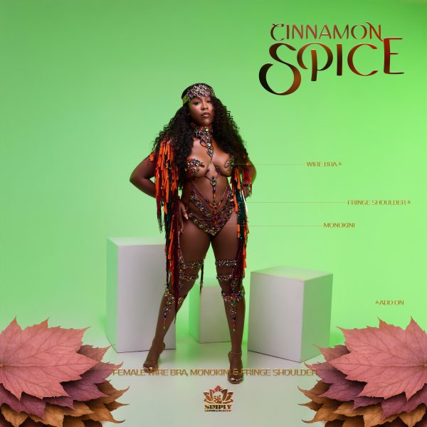 Cinnamon Spice - Image 14