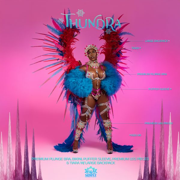 Thundra Standard - Image 16