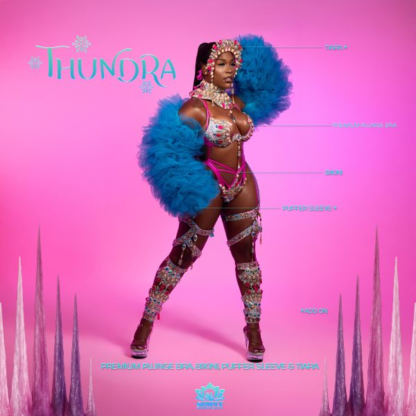 Thundra Standard - Image 14