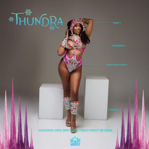 Thundra Standard - Image 15